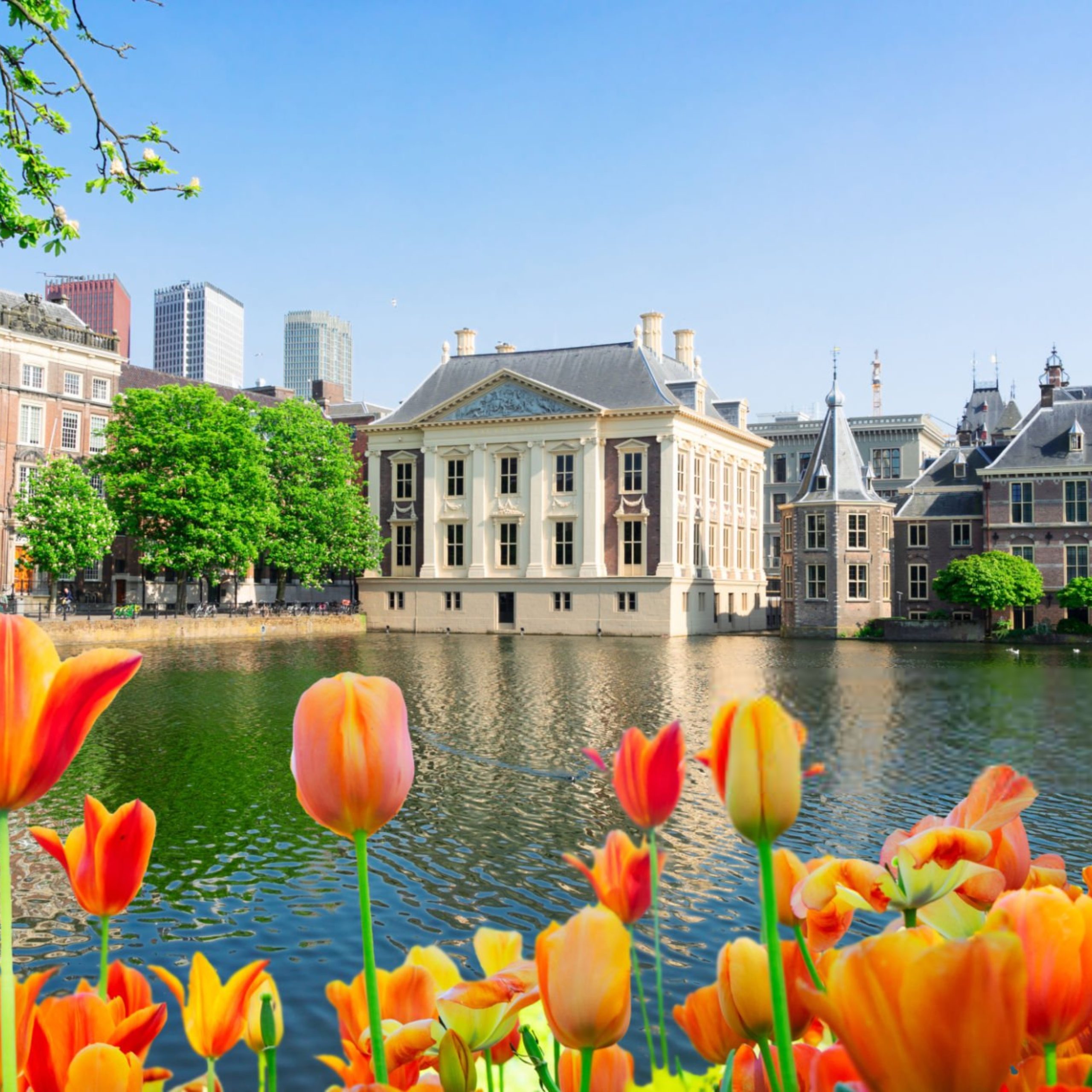 Музей Маурицхёйс