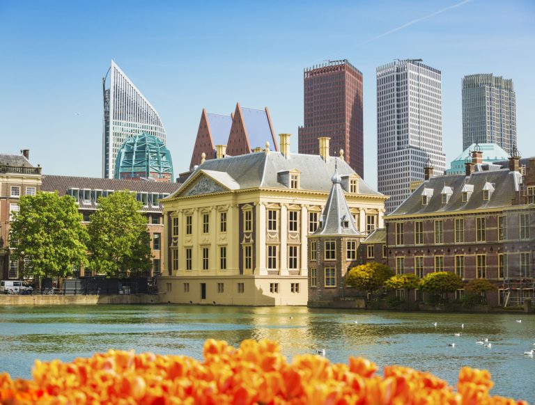 гаага-музей-маурицхейс