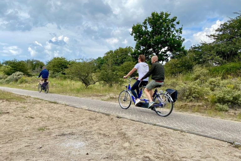 прогулки-зандворт