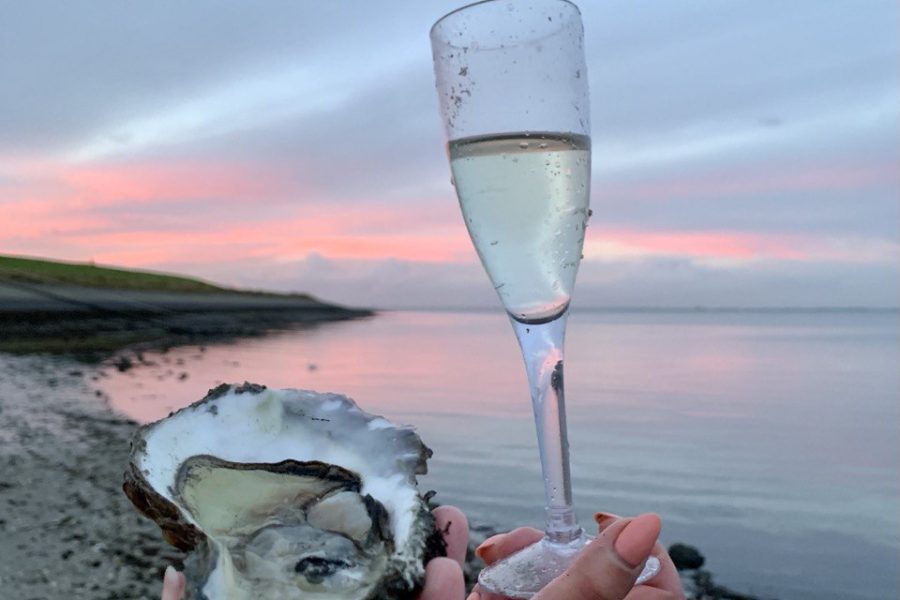 экскурсия по устрицам и винам в Бельгии